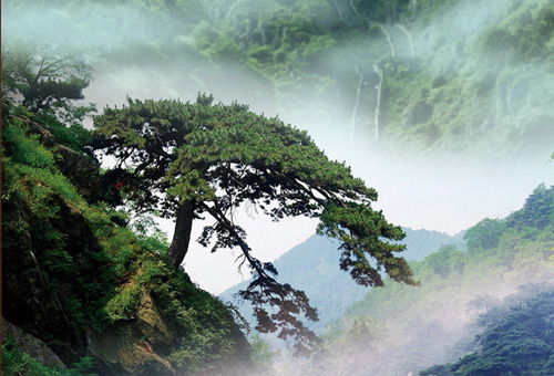 泰安兴煤矿山机械有限公司